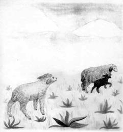 Овца с маленьким ягнёнком